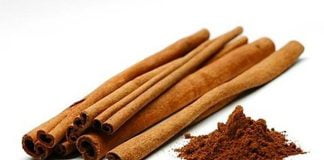 10 Manfaat Kayu Manis Bagi Kesehatan Ilustrasi kayu manis