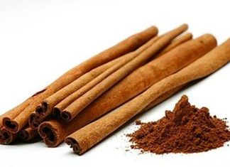 10 Manfaat Kayu Manis Bagi Kesehatan Ilustrasi kayu manis