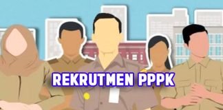 Pemkot Kendari Buka Seleksi PPPK 2023 dengan 1.545 Formasi Ilustrasi PPPK
