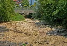 Pemprov Sultra Tetapkan 9 Daerah Berstatus Tanggap Darurat Kekeringan Pemprov Sultra Tetapkan 9 Daerah Tanggap Darurat Kekeringan