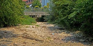 Pemprov Sultra Tetapkan 9 Daerah Berstatus Tanggap Darurat Kekeringan Pemprov Sultra Tetapkan 9 Daerah Tanggap Darurat Kekeringan