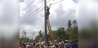 Pemkot Kendari Putus Arus Listrik dan Hentikan Layanan Publik di RTH Jalan Z.A Sugianto Pemkot Kendari Putus Arus Listrik dan Hentikan Layanan Publik di RTH Jalan Z.A Sugianto
