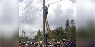 Pemkot Kendari Putus Arus Listrik dan Hentikan Layanan Publik di RTH Jalan Z.A Sugianto Pemkot Kendari Putus Arus Listrik dan Hentikan Layanan Publik di RTH Jalan Z.A Sugianto