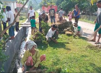 Tradisi Masohi, Gotong Royong Masyarakat Maluku yang Masih Dilestarikan hingga Sekarang Tradisi Masohi, Gotong Royong Masyarakat Maluku