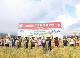 Pj Gubernur Sultra Panen Raya Padi Sawah di Konawe Selatan Pj Gubernur Sultra Panen Raya Padi Sawah di Konawe Selatan