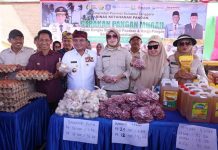 Pj Gubernur Sultra Serahkan Dana Hibah, Bansos, dan Gelar Pasar Murah di Wakatobi Pj Gubernur Sultra Serahkan Dana Hibah, Bansos, dan Gelar Pasar Murah di Wakatobi