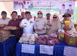 Pj Gubernur Sultra Serahkan Dana Hibah, Bansos, dan Gelar Pasar Murah di Wakatobi Pj Gubernur Sultra Serahkan Dana Hibah, Bansos, dan Gelar Pasar Murah di Wakatobi