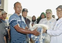 Pemkab Konsel Dorong Pengembangan Perikanan di Tinanggea Pemkab Konsel Dorong Pengembangan Perikanan di Tinanggea