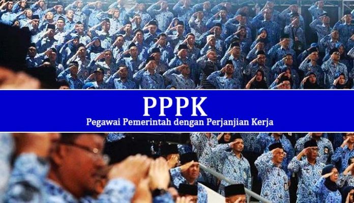 Jawal Pengumuman Hasil Tes PPPK 2023, Berikut Cara Ceknya