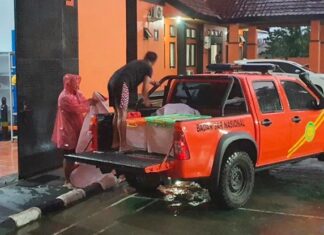 Wanita di Konawe Selatan Diterkam Buaya Saat Mandi di Sungai Wanita di Konawe Selatan Diterkam Buaya Saat Mandi di Sungai