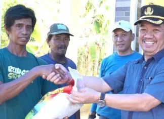 Pemkot Kendari Serahkan Bantuan Tanggap Darurat untuk Korban Banjir di Amohalo Pemkot Kendari Serahkan Bantuan Tanggap Darurat untuk Korban Banjir di Amohalo