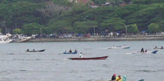 Ribuan Orang Bersih-bersih Teluk Kendari di Hari Peduli Sampah Nasional Ribuan Orang Bersih-bersih Teluk Kendari di Hari Peduli Sampah Nasional