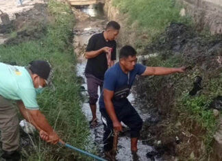 DPRD Kendari Rutin Gelar Aksi Bersih-Bersih Kota Mendukung Pencegahan Banjir DPRD Kendari Rutin Gelar Aksi Bersih-Bersih Kota Mendukung Pencegahan Banjir