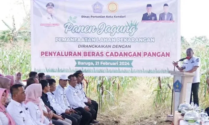 Panen Jagung dan Bantuan Beras Warnai Upaya Pemkot Kendari Kendalikan Inflasi