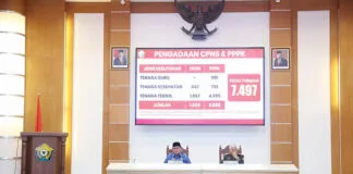 Pemprov Sultra Terima Kuota CPNS dan PPPK 2024 Sebanyak 7.497 Orang Pemprov Sultra Terima Kuota CPNS dan PPPK 2024 Sebanyak 7.497 Orang