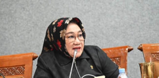 Tina Nur Alam Siap Maju Sebagai Calon Gubernur Sultra 2024 Tina Nur Alam