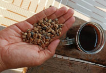 4 Manfaat Kopi yang Tak Terduga untuk Otak Anda 4 Manfaat Kopi yang Tak Terduga untuk Otak Anda