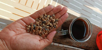 4 Manfaat Kopi yang Tak Terduga untuk Otak Anda 4 Manfaat Kopi yang Tak Terduga untuk Otak Anda