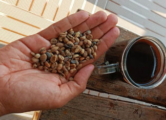 4 Manfaat Kopi yang Tak Terduga untuk Otak Anda 4 Manfaat Kopi yang Tak Terduga untuk Otak Anda