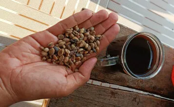 4 Manfaat Kopi yang Tak Terduga untuk Otak Anda 4 Manfaat Kopi yang Tak Terduga untuk Otak Anda