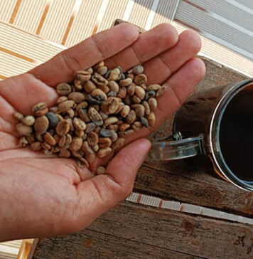 4 Manfaat Kopi yang Tak Terduga untuk Otak Anda 4 Manfaat Kopi yang Tak Terduga untuk Otak Anda