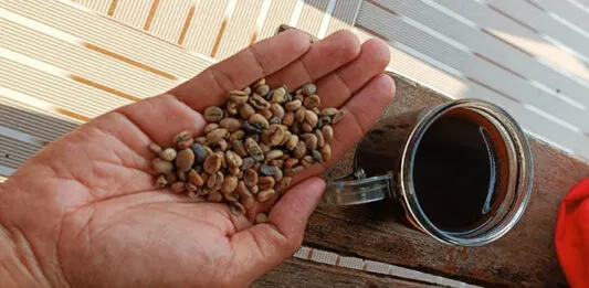 4 Manfaat Kopi yang Tak Terduga untuk Otak Anda 4 Manfaat Kopi yang Tak Terduga untuk Otak Anda