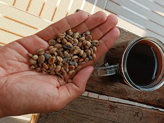 4 Manfaat Kopi yang Tak Terduga untuk Otak Anda 4 Manfaat Kopi yang Tak Terduga untuk Otak Anda