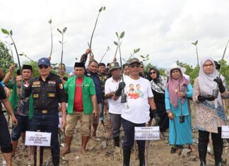 Kanwil Kemenag Sultra Tanam 1.000 Pohon Mangrove di Teluk Kendari Kanwil Kemenag Sultra Tanam 1.000 Pohon Mangrove di Teluk Kendari
