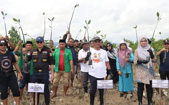 Kanwil Kemenag Sultra Tanam 1.000 Pohon Mangrove di Teluk Kendari