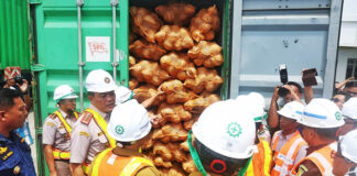 Sultra Buka Jalur Ekspor Kelapa Bulat ke Tiongkok, Dorong Pertumbuhan Ekonomi Lokal Sultra Buka Jalur Ekspor Kelapa Bulat ke Tiongkok, Dorong Pertumbuhan Ekonomi Lokal