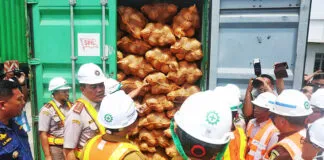 Sultra Buka Jalur Ekspor Kelapa Bulat ke Tiongkok, Dorong Pertumbuhan Ekonomi Lokal Sultra Buka Jalur Ekspor Kelapa Bulat ke Tiongkok, Dorong Pertumbuhan Ekonomi Lokal