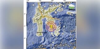 Gempa Bumi Guncang Kolaka Timur, Terasa Hingga Kendari Gempa Bumi Guncang Kolaka Timur, Terasa Hingga Kendari