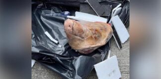 Kantor Tempo Terima Kiriman Kepala Babi, Diduga Teror terhadap Kebebasan Pers Kantor Tempo Terima Kiriman Kepala Babi, Diduga Teror terhadap Kebebasan Pers