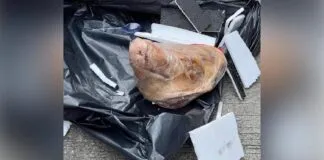 Kantor Tempo Terima Kiriman Kepala Babi, Diduga Teror terhadap Kebebasan Pers Kantor Tempo Terima Kiriman Kepala Babi, Diduga Teror terhadap Kebebasan Pers