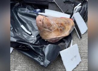 Kantor Tempo Terima Kiriman Kepala Babi, Diduga Teror terhadap Kebebasan Pers Kantor Tempo Terima Kiriman Kepala Babi, Diduga Teror terhadap Kebebasan Pers