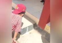 Diduga Keracunan Program Makanan Bergizi Gratis, Sejumlah Siswa SD di Bombana Muntah-Muntah Diduga Keracunan Program Makanan Bergizi Gratis, Sejumlah Siswa SD di Bombana Muntah-Muntah