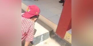 Diduga Keracunan Program Makanan Bergizi Gratis, Sejumlah Siswa SD di Bombana Muntah-Muntah Diduga Keracunan Program Makanan Bergizi Gratis, Sejumlah Siswa SD di Bombana Muntah-Muntah