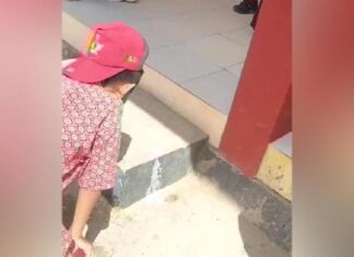 Diduga Keracunan Program Makanan Bergizi Gratis, Sejumlah Siswa SD di Bombana Muntah-Muntah Diduga Keracunan Program Makanan Bergizi Gratis, Sejumlah Siswa SD di Bombana Muntah-Muntah