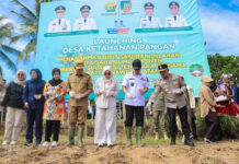 Gubernur Sultra Luncurkan Program Desa Ketahanan Pangan, Targetkan Swasembada dari Akar Rumput Gubernur Sultra Luncurkan Program Desa Ketahanan Pangan, Targetkan Swasembada dari Akar Rumput