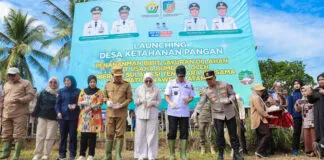 Gubernur Sultra Luncurkan Program Desa Ketahanan Pangan, Targetkan Swasembada dari Akar Rumput Gubernur Sultra Luncurkan Program Desa Ketahanan Pangan, Targetkan Swasembada dari Akar Rumput