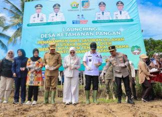 Gubernur Sultra Luncurkan Program Desa Ketahanan Pangan, Targetkan Swasembada dari Akar Rumput Gubernur Sultra Luncurkan Program Desa Ketahanan Pangan, Targetkan Swasembada dari Akar Rumput