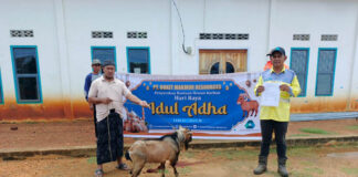 PT BMR Salurkan Hewan Kurban di Idul Adha 1446 H, Wujud Komitmen Sosial di Tengah Perlambatan Produksi PT BMR Salurkan Hewan Kurban di Idul Adha 1446 H, Wujud Komitmen Sosial di Tengah Perlambatan Produksi