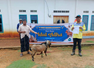 PT BMR Salurkan Hewan Kurban di Idul Adha 1446 H, Wujud Komitmen Sosial di Tengah Perlambatan Produksi PT BMR Salurkan Hewan Kurban di Idul Adha 1446 H, Wujud Komitmen Sosial di Tengah Perlambatan Produksi