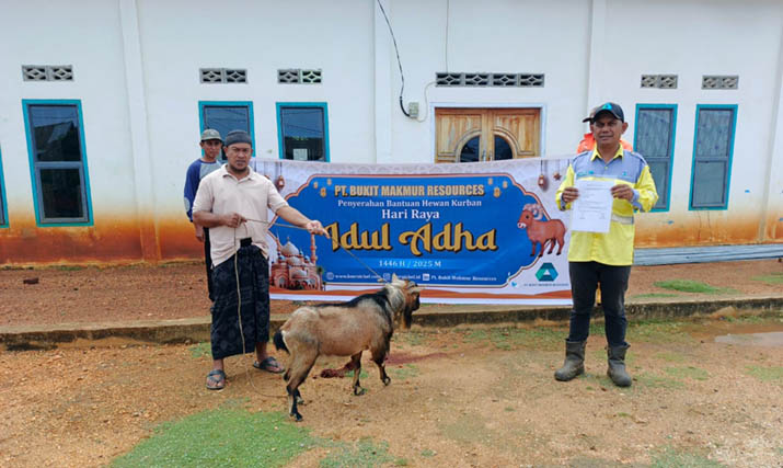 mbriduladha PT BMR Salurkan Hewan Kurban di Idul Adha 1446 H, Wujud Komitmen Sosial di Tengah Perlambatan Produksi
