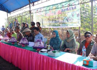 Pemda Konawe Utara Genjot Swasembada Pangan Lewat Gerakan Tanam Serentak Pemda Konawe Utara Genjot Swasembada Pangan Lewat Gerakan Tanam Serentak