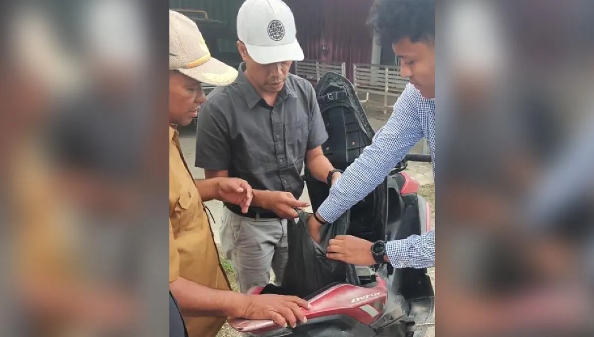 kesbangpol_buteng Kepala Bidang Kesbangpol Buton Tengah Ditangkap dalam Kasus Dugaan Korupsi Anggaran Paskibraka Tahun 2025