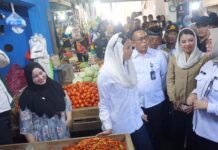 Wamendag Pantau Harga di Pasar Baruga, Pastikan Inflasi Kendari Terkendali Wamendag Pantau Harga di Pasar Baruga, Pastikan Inflasi Kendari Terkendali