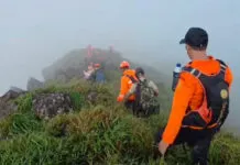 Serpihan Pesawat ATR 42-500 Ditemukan, Tim SAR Gabungan Terus Persempit Area Pencarian Serpihan Pesawat ATR 42-500 Ditemukan, Tim SAR Gabungan Terus Persempit Area Pencarian