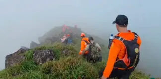 Serpihan Pesawat ATR 42-500 Ditemukan, Tim SAR Gabungan Terus Persempit Area Pencarian Serpihan Pesawat ATR 42-500 Ditemukan, Tim SAR Gabungan Terus Persempit Area Pencarian