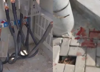 Pencurian Kabel Gardu PLN di Konda, Video Viral di Media Sosial Pencurian Kabel Gardu PLN di Konda, Video Viral di Media Sosial
